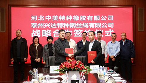 河北衡水市政企代表團(tuán)蒞臨興達(dá)考察，興達(dá)&中美達(dá)成戰(zhàn)略合作！